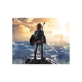 thumbnail image 5 of Videojuego the Legend of Zelda: Breath of the Wild para Nintendo Switch Físico, 5 of 5