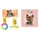 thumbnail image 4 of Paquete de Nupec adulto razas pequeñas 8 kg + 1 juguete caucho Fancy pets, 4 of 5