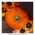 thumbnail image 4 of Calabaza Halloween, 4 of 6