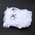 thumbnail image 1 of Decoraciones De Halloween 5 Piezas Telaraña Terrible Vívido, 1 of 7