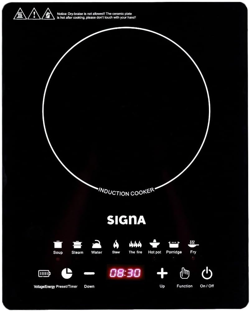 Parilla Eléctrica un quemador de Inducción Panel de Lujo 120W (Negra)