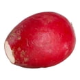 thumbnail image 3 of Rabanitos Por Pieza, 3 of 5
