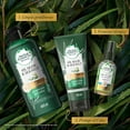 thumbnail image 5 of Shampoo Herbal Essences Bio:Renew 6X Aloe & Sea Kelp Protección del Color 400 ml, 5 of 5