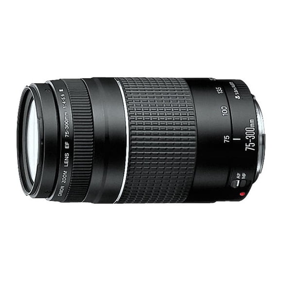 Lente Canon EF 75-300 mm f/4.0 - 5.6 III