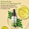 thumbnail image 2 of Aceite de semilla de moringa Moringa virgen prensado en frío 100% puro, 2 of 9
