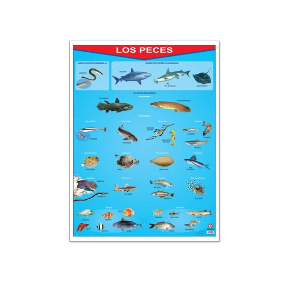 Póster Los Peces