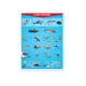 thumbnail image 1 of Póster Los Peces, 1 of 2