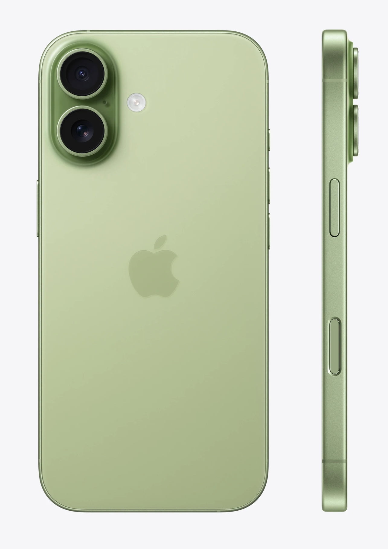 Apple iPhone 17 5G 512GB - Color Verde Salvia Reacondicionado