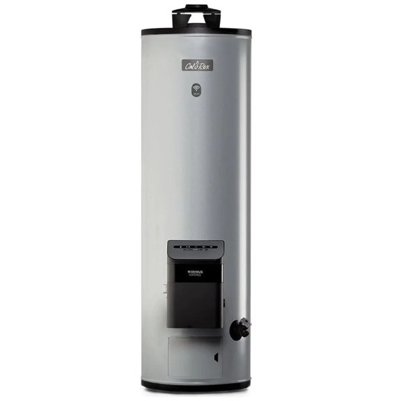 Boiler Calorex Maximus Advance Wifi G20 LP