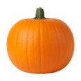 thumbnail image 3 of Calabaza Pay, 3 of 8