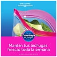 thumbnail image 5 of Bolsas Reutilizables Ziploc para Guardar Alimentos 1 Paquete con 20 Bolsas Tamaño Grande, 5 of 5