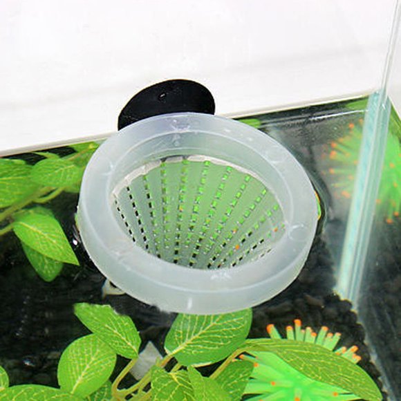 unbranded Aquarium Red Worm Feeder Con Ventosa Para En Color Multicolor