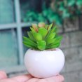 thumbnail image 2 of FOMIYES 3Ud Plantas De Simulación Suculentas Para De Interior Y Regalo, 2 of 8