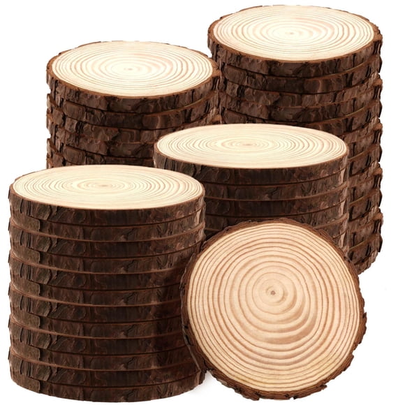Rodajas de Madera JAPCHET 50 piezas 13-14 cm Pino Natural