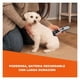 thumbnail image 4 of Cortadora para Mascotas Wahl Easy Pro + kit 9 pz, 4 of 4