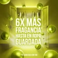 thumbnail image 4 of Perlas de Perfume Downy Paradise Aroma Tropical, 345g con 6X Más Fragancia*, 4 of 6