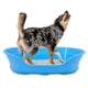 thumbnail image 1 of KE WOOW Cama Mediana para Perro, Gato, Conejo y otras Mascotas, Cesta de Plástico, Incluye Colchón Doble Cara, Color Azul KE WOOW Cama Plana con colchón mediana, 1 of 10