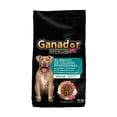 thumbnail image 1 of Alimento para Perro Ganador Premium Adulto Razas Medianas y Grandes Blend 10kg, 1 of 6