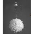 thumbnail image 4 of 2025 New White Feather Ceiling Lampshade Pendant Non-electric Shade Shade Reducing Ring Pendan Lamp - 30cm, 4 of 4