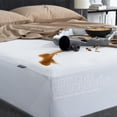 View all media