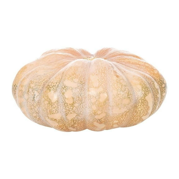 Calabaza de castilla por kilo