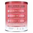 thumbnail image 2 of Suplemento Alimenticio Birdman Creatine Refresher Watermelon Spl 300gr, 2 of 4