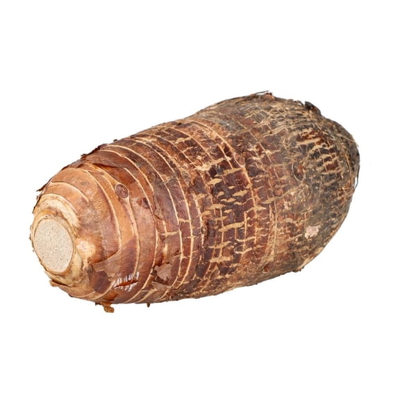 Malanga Por Kilo