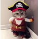 thumbnail image 1 of Disfraz de mascota, divertido y adorable perro, gato, pirata, para Halloween, disfraz, ropa de fiesta para perro y sombrero., 1 of 5