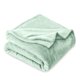 thumbnail image 1 of Bare Home Manta de Felpa Polar de 300 G/M², Microfibra Mullida, Suave y Afelpada, Tamaño Twin/Twin XL, Color Menta Primaveral, 1 of 7