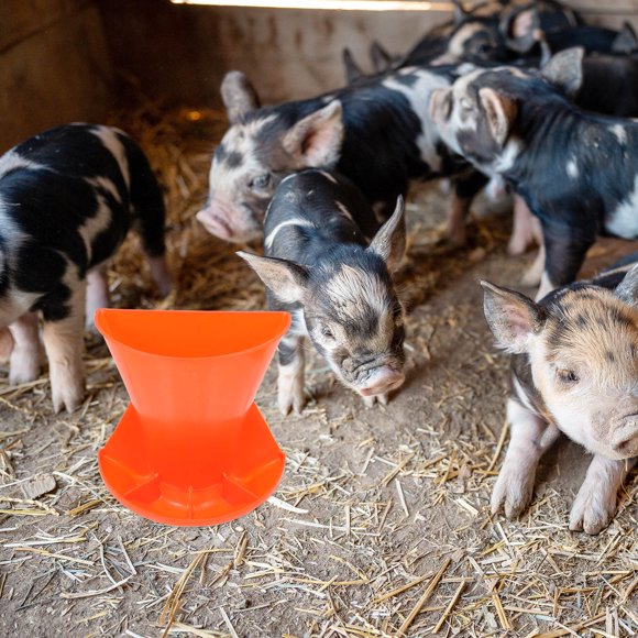 unbranded 1Ud Para Cerdos Plástico Resistente Antióxido Con Compartimentos Para Granja