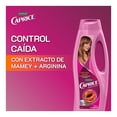 thumbnail image 4 of Shampoo Caprice Especialidades Control Caída Mamey + Arginina 750 ml, 4 of 4