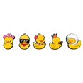 thumbnail image 2 of Accesorios para Calzado Prichos Shiny Duck Multicolor de PVC 5 Piezas por Empaque, 2 of 4