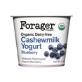 thumbnail image 1 of Alimento fermentado Forager Project Cashewgurt orgánico sabor mora azul 150 g, 1 of 3