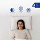 thumbnail image 5 of Spring Air Paquete de Almohadas Osos 100% Algodón - Estándar, 5 of 6