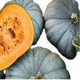 thumbnail image 4 of Calabaza Pastel, 4 of 8
