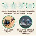 thumbnail image 4 of Terra by Battat – Araña de control remoto para niños – Tarántula RC con ojos LED – Animal realista y patas móviles – Movimiento rápido y giro de 360 ​​– Tarántula azul – 6 años +, 4 of 5