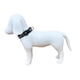 thumbnail image 2 of Juego de correa con collar Infanti Pets negra chica, 2 of 5