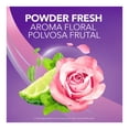 thumbnail image 3 of Desodorante Mujer en Barra Lady Speed Stick Powder Fresh 45 g, 3 of 5