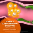 thumbnail image 4 of Fibra Metamucil Natural Sabor Naranja 10 sobres, 4 of 5