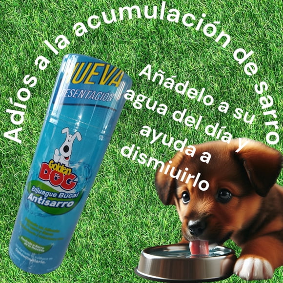 ENJUAGUE ANTISARRO 240 ML