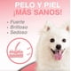 thumbnail image 5 of Aceite De Salmón Omega 3 Y 6 Para Perros Y Gatos 1Litro, 5 of 9