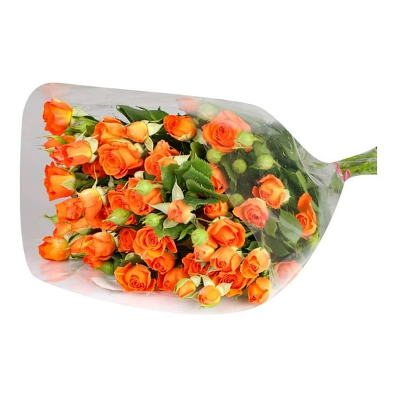 Ramo minirosas
