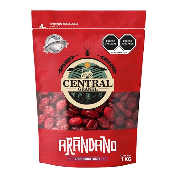 Arándano Natural Deshidratado Central Granel 1 Kg Snack Frutos Secos