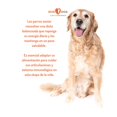 thumbnail image 3 of Alimento Para Perro Iron Dog Super Premium Senior 15 Kg, 3 of 3