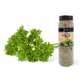 thumbnail image 2 of Pontino Perejil, 155 G, 2 of 3