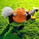 thumbnail image 1 of Xihbxyly Disfraz de Halloween para Mascota, Divertido Disfraz de Cosplay para Perro, Terciopelo Suave, Talla Ajustable, Ajuste Cómodo, Ideal para Halloween, Desfiles, Sesiones de Fotos, Varios Tamaño, 1 of 1