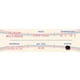 thumbnail image 4 of Delirium Nocturnum Caja 24 Pack 330Ml, 4 of 4