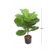 thumbnail image 2 of PLANTA ARTIFICIAL FICUS PANDURATA 60 cm, 2 of 2
