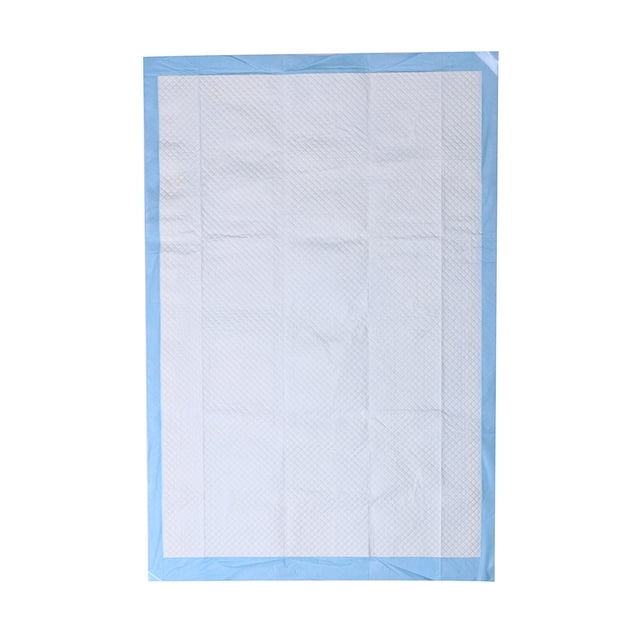 almohadillas absorbentes antibacterianas desodorantes para cachorros, pañales para entrenamiento de mascotas, 45 x 60 cm blanco HOKMX — vista frontal centrada de una almohadilla rectangular 45 x 60 cm con borde azul y superficie blanca acolchada; material no tejido con relieve que sugiere núcleo superabsorbente, adecuada para entrenamiento de cachorros, perros mayores y uso en jaulas, autos o habitaciones de hotel para mantener el hogar limpio.