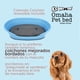 thumbnail image 3 of KE WOOW Cama Chica para Perro, Gato, Conejo y otras Mascotas, Cesta de Plástico, Incluye Colchón Doble Cara, Color Azul KE WOOW Cama Plana con colchón Chica, 3 of 10